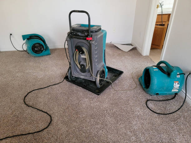Best Local water damage restoration  in Three Oaks, MI