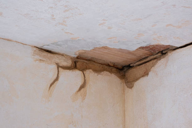 Best Ceiling water damage repair  in Three Oaks, MI