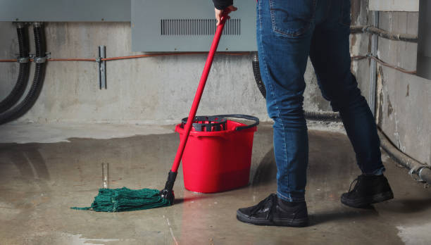 Best Basement water damage restoration  in Three Oaks, MI