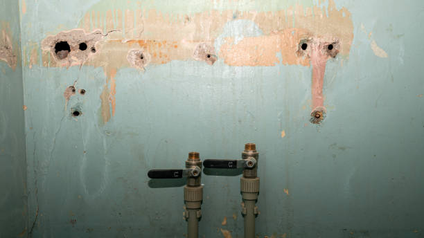 Best Flood restoration services  in Three Oaks, MI