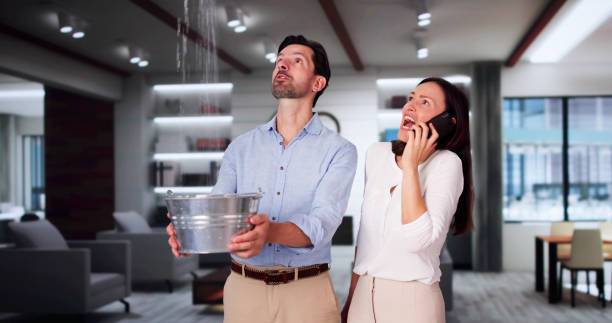 Best 24/7 water damage repair  in Three Oaks, MI