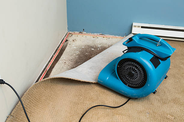 Best Flooded house restoration  in Three Oaks, MI